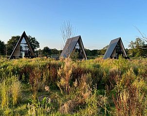 Guest house 414001 - Holiday property Kempen - Vakantiehuisje in Biest-Houtakker