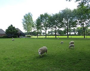 Guest house 420212 - Holiday property Hart van Brabant - Huisje in Oisterwijk