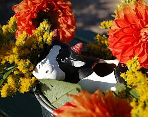 Guest house 420212 - Holiday property Hart van Brabant - Huisje in Oisterwijk