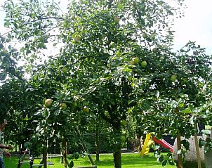 Guest house 420212 - Holiday property Hart van Brabant - Huisje in Oisterwijk