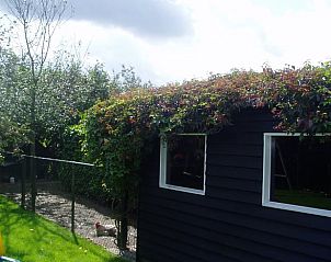 Guest house 420212 - Holiday property Hart van Brabant - Huisje in Oisterwijk