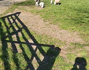 Guest house 420212 - Holiday property Hart van Brabant - Huisje in Oisterwijk