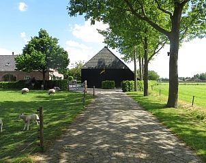 Unterkunft 420223 • Ferienhaus Hart van Brabant • Huisje in Oisterwijk 