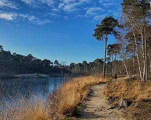 Guest house 420227 - Holiday property Hart van Brabant - Huisje in Oisterwijk