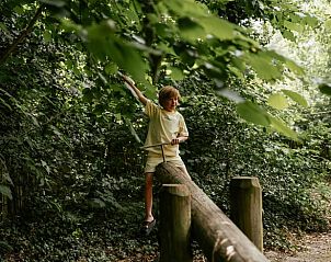Unterkunft 420229 - Ferienhaus Hart van Brabant - Huisje in Oisterwijk