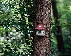 Unterkunft 420229 - Ferienhaus Hart van Brabant - Huisje in Oisterwijk