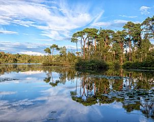 Unterkunft 420229 - Ferienhaus Hart van Brabant - Huisje in Oisterwijk