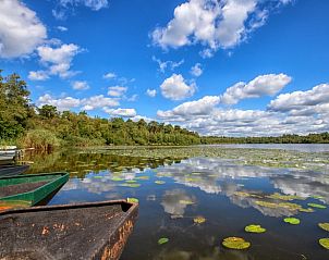 Unterkunft 420229 - Ferienhaus Hart van Brabant - Huisje in Oisterwijk