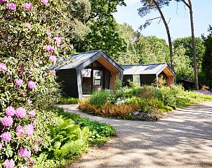 Unterkunft 420230 - Ferienhaus Hart van Brabant - Vakantiehuis in Oisterwijk