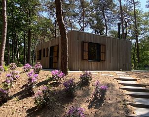 Ferienhaus in Oisterwijk, im Herzen von Brabant gelegen, umgeben von Natur und Blumen, ideal fr einen erholsamen Aufenthalt.
