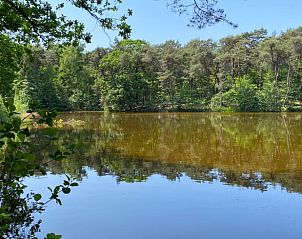 Beruhigender Blick auf den See bei Ferienhaus in Oisterwijk, umgeben von grnen Wldern im Herzen von Brabant, Nordbrabant.