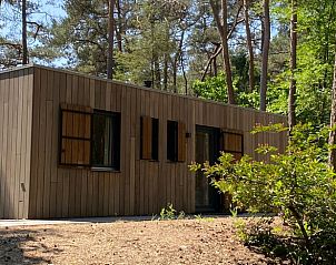 Ferienhaus in Oisterwijk, umgeben von grner Natur im Herzen von Brabant, Nordbrabant, ideal fr einen erholsamen Urlaub.