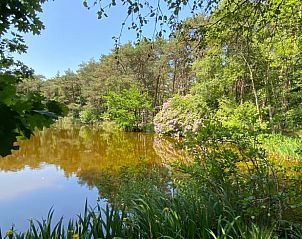 Unterkunft 420232 - Ferienhaus Hart van Brabant - Vakantiehuisje in Oisterwijk