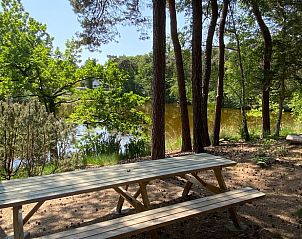 Unterkunft 420232 - Ferienhaus Hart van Brabant - Vakantiehuisje in Oisterwijk