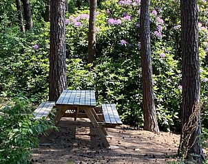 Unterkunft 420232 - Ferienhaus Hart van Brabant - Vakantiehuisje in Oisterwijk