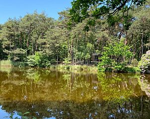 Unterkunft 420232 - Ferienhaus Hart van Brabant - Vakantiehuisje in Oisterwijk