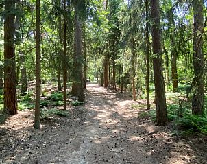 Unterkunft 420232 - Ferienhaus Hart van Brabant - Vakantiehuisje in Oisterwijk