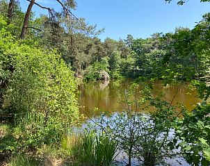 Unterkunft 420232 - Ferienhaus Hart van Brabant - Vakantiehuisje in Oisterwijk