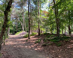 Unterkunft 420232 - Ferienhaus Hart van Brabant - Vakantiehuisje in Oisterwijk