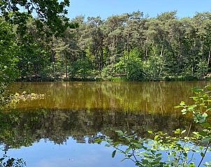 Unterkunft 420232 - Ferienhaus Hart van Brabant - Vakantiehuisje in Oisterwijk