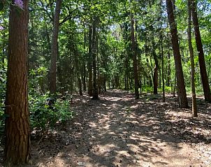 Unterkunft 420232 - Ferienhaus Hart van Brabant - Vakantiehuisje in Oisterwijk