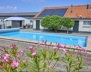 Ontspan bij het zwembad van De Vrije Vogel vakantiehuis in Oisterwijk, omringd door de rustgevende natuur van Hart van Brabant.