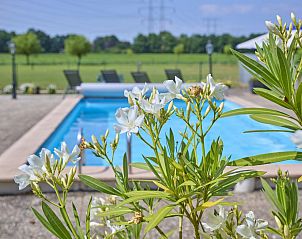 Verblijf 420234 - Vakantiewoning Hart van Brabant - De Vrije Vogel