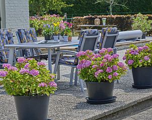 Verblijf 420234 - Vakantiewoning Hart van Brabant - De Vrije Vogel