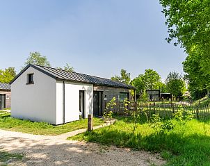 Verblijf 420236 - Bungalow Hart van Brabant - 4-6-persoons hondenlodge | 4-6BD