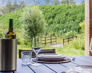 Verblijf 420248 - Bungalow Hart van Brabant - 4-persoons lodge | 4B1