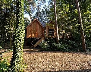 Unterkunft 420251 - Ferienhaus Hart van Brabant - Huisje in Oisterwijk
