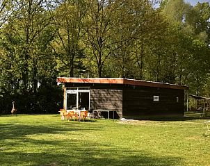 Buitenzijde van Vakantiehuisje in Liempde, Noord Brabant omringd door weelderige natuur.