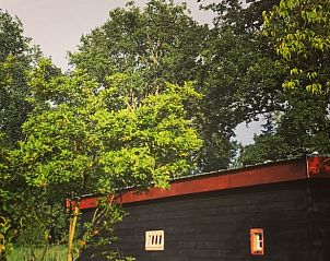 Groene omgeving rondom Vakantiehuisje in Liempde, perfect voor natuurliefhebbers.