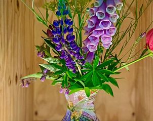 Kleurrijke bloemen in Vakantiehuisje in Liempde, brengen de natuur naar binnen.