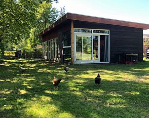 Vrijlopende kippen in de tuin van Vakantiehuisje in Liempde, ideaal voor dierenliefhebbers.