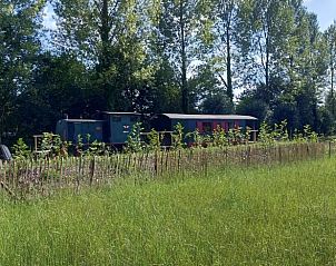 Guest house 420310 - Bed and Breakfast Hart van Brabant - Vakantiehuisje in Liempde