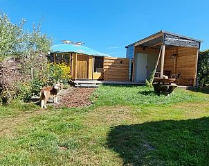 Buitenaanzicht van Vakantiehuisje in Liempde, Hart van Brabant met houten veranda en hond.