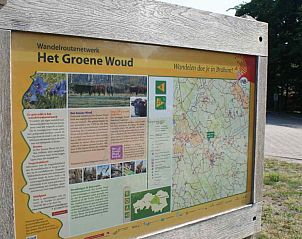 Bosrijke wandelpaden nabij BRA003 vakantiehuis in Liempde, Hart van Brabant.