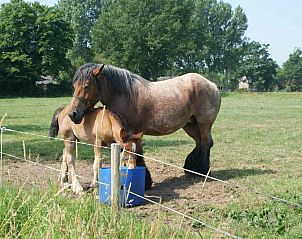 Eetkamer in BRA003 vakantiehuis in Liempde, Hart van Brabant, met antiek meubilair.