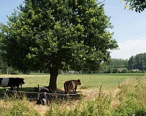 Traditionele boerderij in omgeving van BRA003 vakantiehuis in Liempde, Hart van Brabant.
