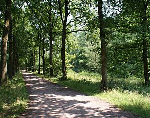 Gezellige keuken van BRA003 vakantiehuis in Liempde, Hart van Brabant.
