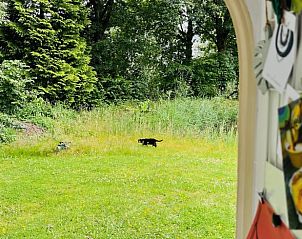 Rustgevend uitzicht op de tuin vanuit Vakantiehuis in Liempde, gelegen in het groene Hart van Brabant, Noord Brabant.