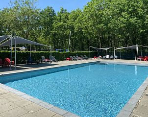 Verfrissend zwembad bij Vakantiehuis Duinhoeve, Udenhout, omgeven door natuur, perfect voor zomerse dagen in Noord Brabant.