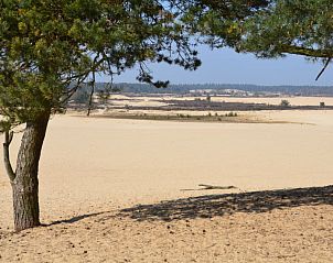 Prachtig uitzicht op de natuur rondom Vakantiehuis Duinhoeve, Udenhout, perfect voor wandelingen in Hart van Brabant, Noord Brabant.