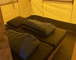 Guest house 420611 - Tent house Hart van Brabant - Safaritent