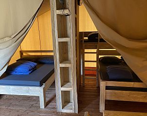 Guest house 420619 - Tent house Hart van Brabant - Glamping Deluxe type 2
