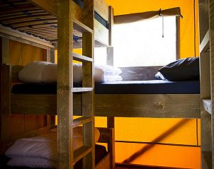 Guest house 420619 - Tent house Hart van Brabant - Glamping Deluxe type 2