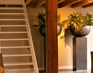 Cozy staircase and plants in the interior of Huisje in Moergestel, vacation home in Moergestel, North Brabant.