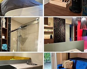 Guest house 421519 - Holiday property Hart van Brabant - Huisje in Moergestel