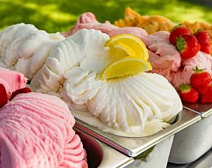 Guest house 421520 - Holiday property Hart van Brabant - Huisje in Moergestel